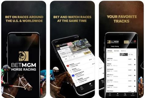 how to bet on horse racing|BetMGM Horse Betting App Review & Bonus 2025 .